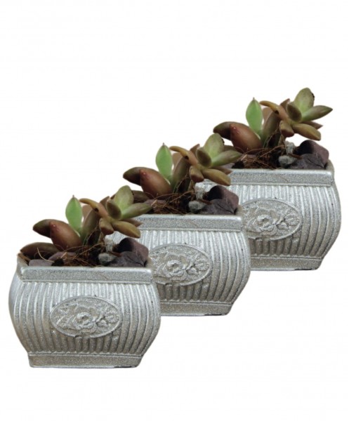 Mini Çiçek Saksı Küçük Sukulent Gümüş Kaktüs Saksısı 3lü Set Mini Çizgili Çiçekli Model